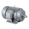 T Series Nema Standard 3-Phase Induction Motors Cast Iron Case (EPACT Efficiency)