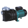 FCP Series Fiter Centrifugal Pump For Swimming Pool