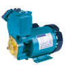 PS Series Self-Priming water Pump