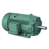 T Series Nema Standard 3-Phase Induction Motors Cast Iron Case (premium)