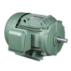 T Series Nema Standard 3-Phase Induction Motors Cast Iron Case (premium)