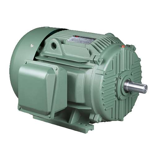 T Series Nema Standard 3-Phase Induction Motors Cast Iron Case (premium)