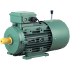 MSEJ Series Asynchronous Three-phase Brake Motors