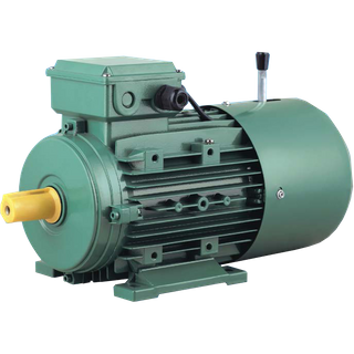 MSEJ Series Asynchronous Three-phase Brake Motors