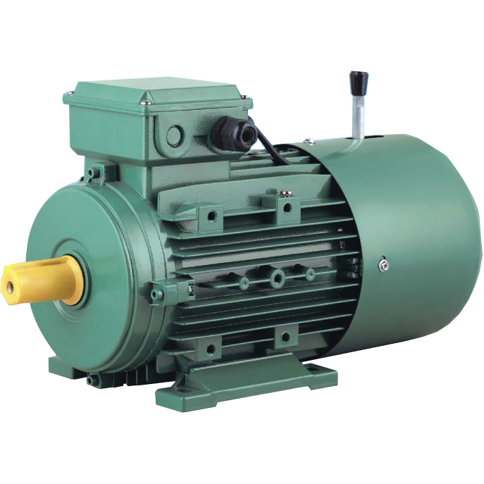 MSEJ Series Asynchronous Three-phase Brake Motors