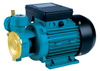 DB Series Electric Clean Water Pump
