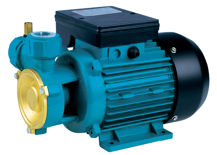 DB Series Electric Clean Water Pump