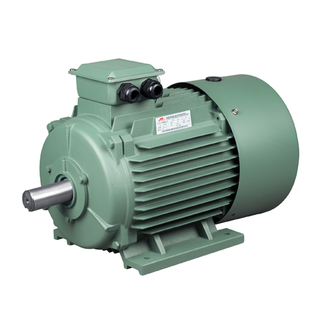 YJD2 Series 3-Phase Induction Motors cast iron case (IE1)