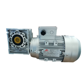 WP Series Worm Gear Speed Reducer