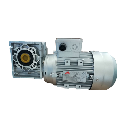WP Series Worm Gear Speed Reducer
