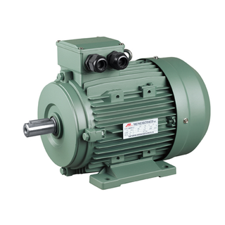MS Series 3-Phase Induction Motors Aluminum Case (IE3)