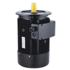 MS2 Series Three-phase Pump Motor