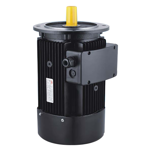 MS2 Series Three-phase Pump Motor
