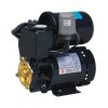 PS Series Self-Priming water Pump