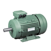 MS Series 3-Phase Induction Motors Aluminum Case (IE1)