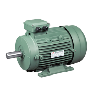 MS Series 3-Phase Induction Motors Aluminum Case (IE1)