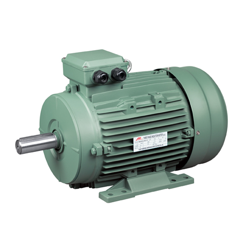 MS Series 3-Phase Induction Motors Aluminum Case (IE1)
