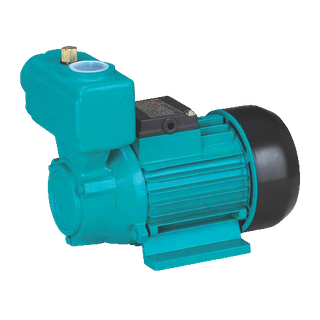 TP Series Self-Priming water Pump
