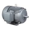 T Series Nema Standard 3-Phase Induction Motors Cast Iron Case (EPACT Efficiency)