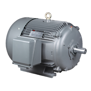 T Series Nema Standard 3-Phase Induction Motors Cast Iron Case (EPACT Efficiency)