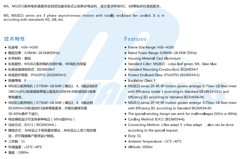 MS general information